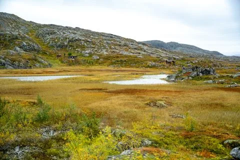 An expansive and evocative view of a rugged Nordic tundra landscape bathed in Stock Photos