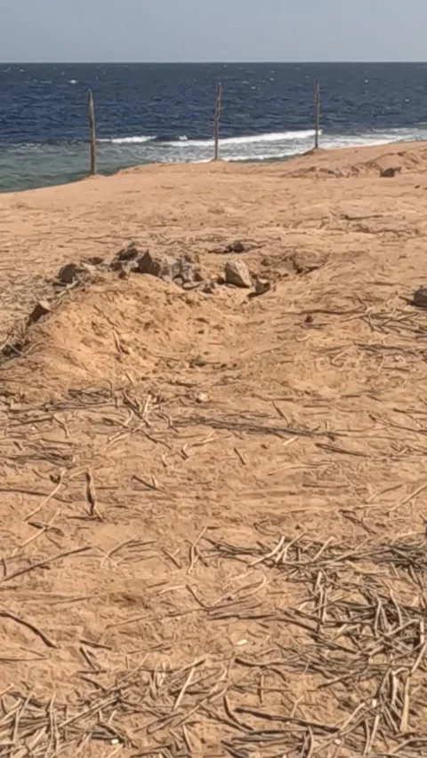 Expansive Beach View with Gentle Waves and Dry Sand Dunes Highlighting Coastal Stock Footage 330096234