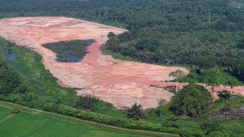 Expansive cleared land contrasts with dense green forest Stock-Footage 339839711