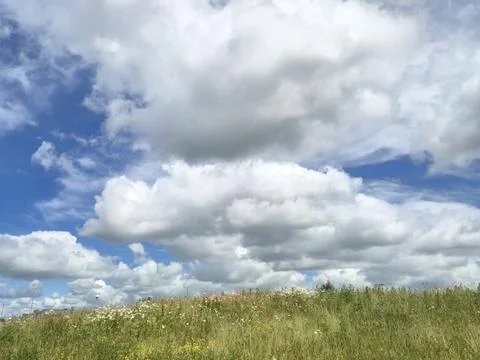 Expansive Cloudscape Over Wildflower Meadow 스톡 사진