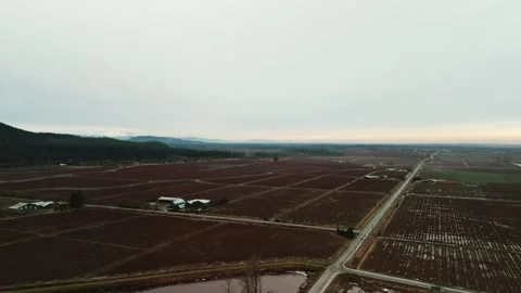 Expansive dark red cranberry fields stretch alongside straight rural highway Stock Footage 336981877
