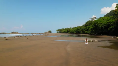 Expansive dark sand beach with lone woman with very long hair walking near ocean Stock-Footage 326006234