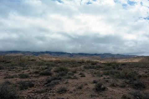 Expansive desert landscape with sparse shrubs and a cloudy sky covering dista Stock Photos