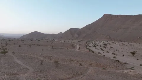 Expansive Desert Plain with Dirt Tracks and Mountain Range at Dawn Stock Footage 336025510