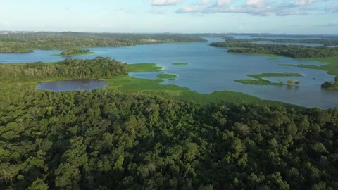 Expansive Drone Journey Over Pristine Jungle Lakes and Untouched Equatorial.. Stock Footage 325279975