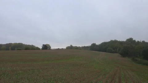 Expansive Empty Rural Field Stretching Toward Distant Forest Edge Stock Footage 348025739