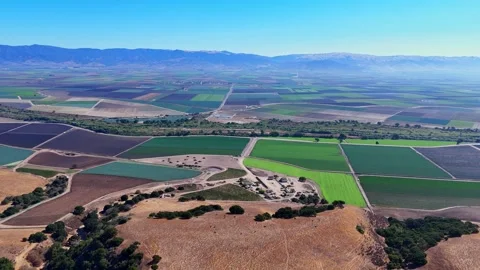 Expansive Farmland Patchwork in Salinas Valley, California on Clear Summer Day Stock Footage 318601912