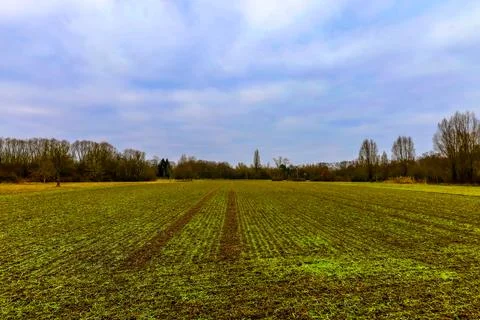 Expansive field under a cloudy sky offers a serene escape into nature's cal.. Stock Photos