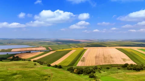 Expansive fields under bright blue sky.  Stock Footage 315516096