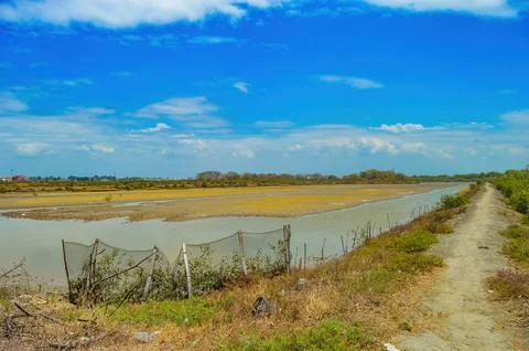 Expansive fish farm with multiple ponds under a clear blue sky. Ideal for a.. Stock Photos