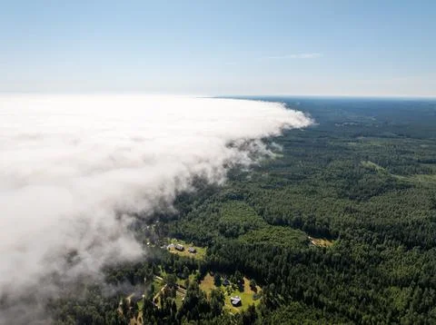 Expansive Forest with Low Lying Clouds and Scattered Buildings Stock Photos