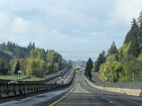 Expansive freeway lined with dense trees carries steady traffic Stock-Fotos