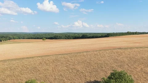 Expansive golden fields and gentle rolling hills in the rural countryside of Stock Footage 346700360