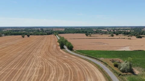 Expansive golden fields and a winding country road in the rural countryside of Stock Footage 346704112