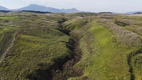 Expansive Grassland and Grazing Fields – Scenic Drone View Stock Footage 336957349