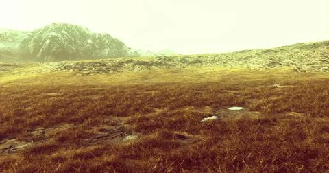 Expansive grassy landscape with distant mountains in soft light Stock Illustration