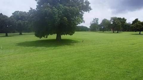 Expansive Green Field with Trees and Distant Building Under a Partly Cloudy Sky Stock Footage 314403805