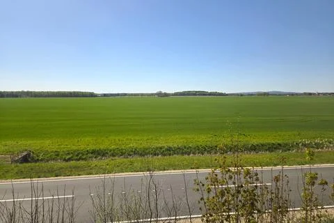 Expansive Green Field Under Clear Blue Sky in Countryside Landscape Stock Photos