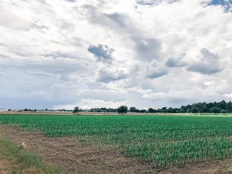 Expansive green field under a dramatic sky filled with clouds, showcasing the 스톡 사진