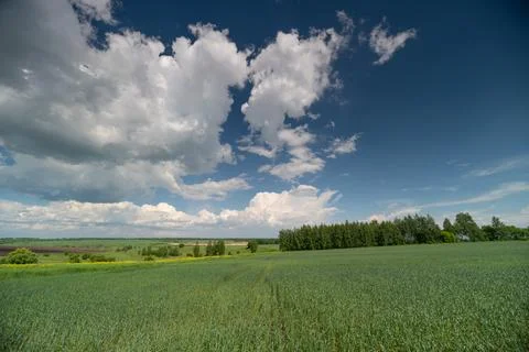 Expansive green field under dramatic blue sky with clouds Stock Photos