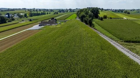 Expansive Green Fields Extend Under a Bright Sky in the Countryside Stock Photos