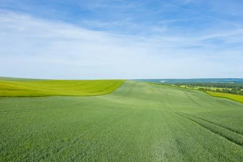 Expansive green fields under blue sky, Burgundy Stock Photos