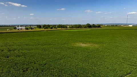 Expansive Green Fields Under Clear Blue Sky in Rural Area During Daytime Stock Photos