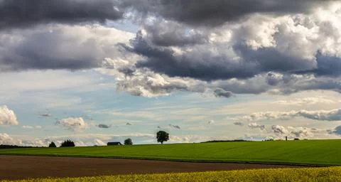 Expansive green fields under a dramatic sky with clouds and a lone tree on th Stock Photos