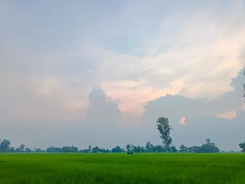 Expansive Green Fields Under a Hazy Sunset Sky Stock Photos