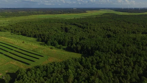 Expansive green forest landscape with solar canopies and distant wind turbines Stock Footage 344660758