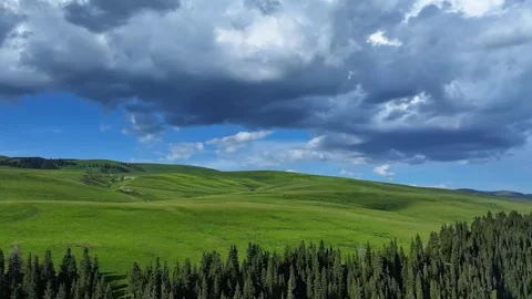 Expansive Green Grasslands with Pine Forest and Stormy Clouds Western Sichuan Stock Footage 346423649