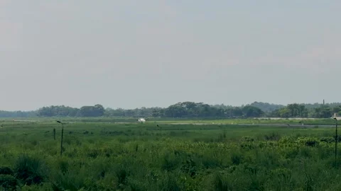 Expansive green landscape with distant trees under a clear blue sky on a su.. Stock-Footage 339296072
