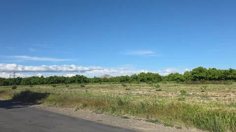 Expansive Green Landscape with Tree Line and Sky Stock Footage 336387393