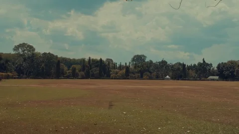 Expansive Green Lawn and Tree Line in Tropical Park Setting Stock Footage 333325927