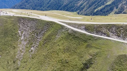 Expansive Green Mountain Landscape with Winding Trails and Forested Valleys on a Stock Footage 344291220