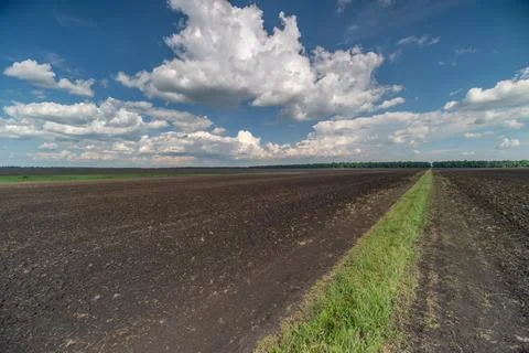 Expansive harvested field under dramatic blue sky with cloud formations Stock Photos