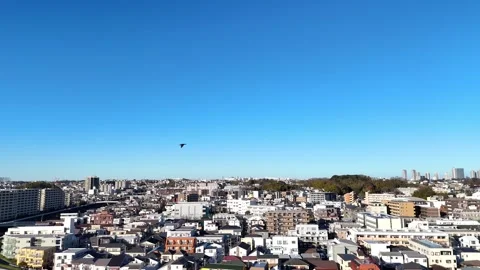 Expansive Japanese Suburbs | Drone - 4K Aerial Video Video stock 329056771