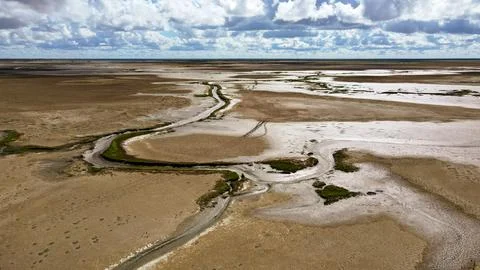 Expansive marshland features meandering streams beautifully flowing under d.. Stock Photos