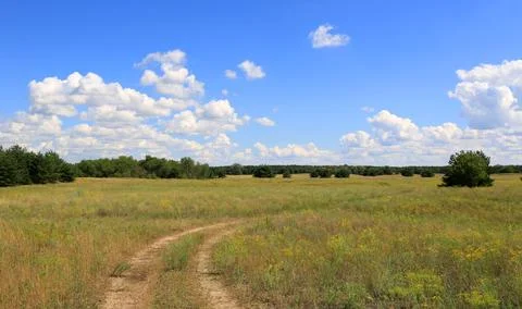 Expansive meadow with a winding dirt path under a bright blue sky with fluf.. Stock Photos