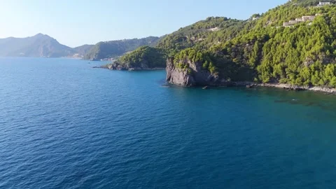 Expansive Mediterranean Coastline with Pine Stock Footage 315073782