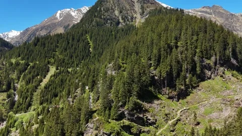 Expansive Mountain Forest Blanket Covered in Sunlight Video stock 343340631