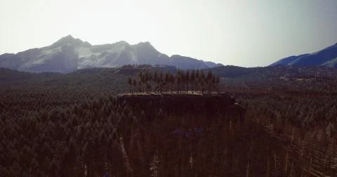 Expansive mountain range with isolated trees on a rocky plateau at sunset Stock Illustration