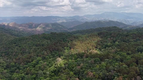 Expansive Mountain View with Curving Road Stock Footage 329817497