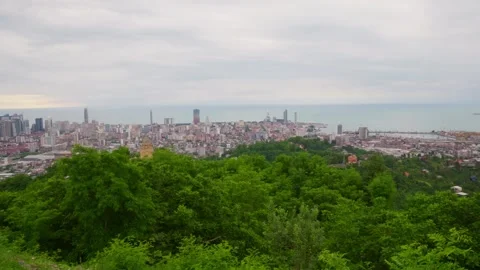 Expansive overhead image showcasing lively city amidst rich scenery Stock Footage 331940272