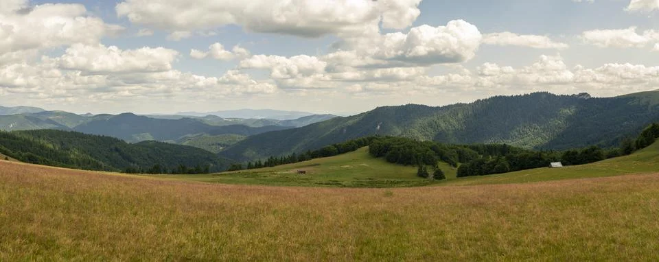 Expansive panoramic summer view of rolling grassy meadows and lush green fo.. Stock Photos