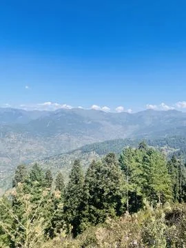 Expansive Panoramic View of Layered Mountains and Pine Forests under a Clea.. Stock Photos