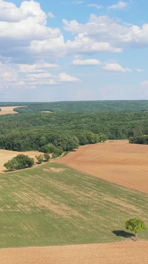 Expansive patchwork fields and dense green forest in the rural countryside of Stock Footage 346662432