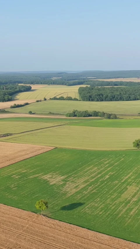 Expansive patchwork fields and farmland in the countryside near Cuncy les Varzy Stock Footage 346663805