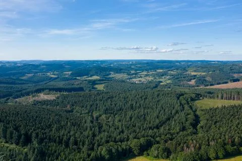 Expansive pine forest and distant village, Morvan Stock Photos