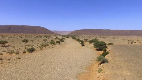 Expansive Rocky Desert Plain with Dry Riverbed and Mountains Stock Footage 336617356